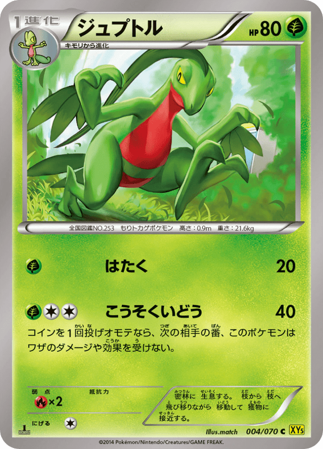 Grovyle 004/70
