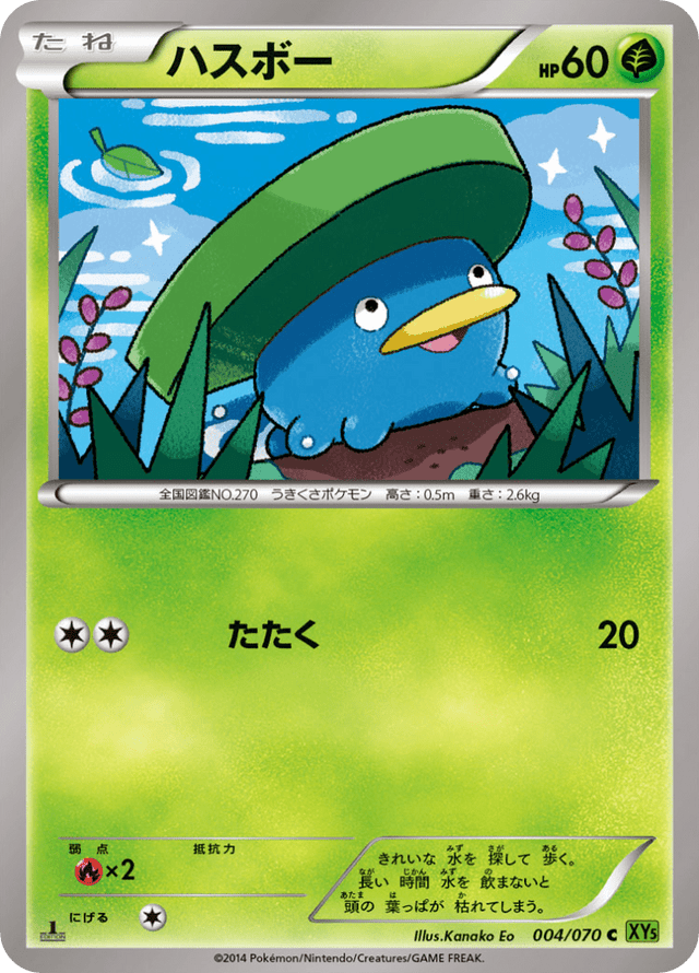 Lotad 004/70