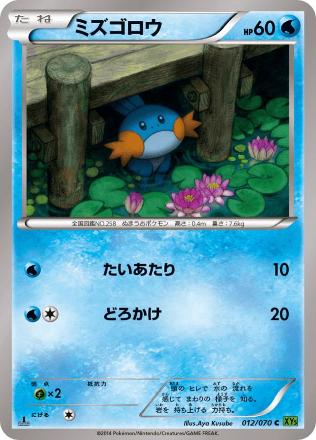 Mudkip 012/70
