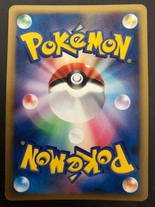 【Promo、E Pikachu M Lv. X 043/DPt - P - PokeNinJapan